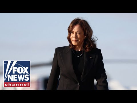 You are currently viewing This is ‘catastrophic’ for Kamala Harris’ campaign: Karoline Leavitt