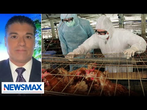 You are currently viewing Some concerning signals with bird flu: Dr. Frank Contacessa | Wake Up America