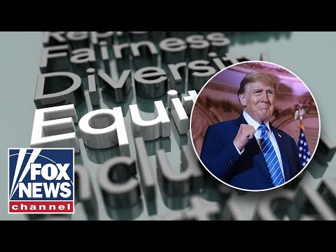 You are currently viewing Trump sends DEI to DIE