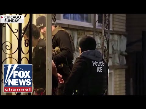 You are currently viewing Chicago resident praises Trump’s ICE raids targeting criminal migrants: ‘So glad’