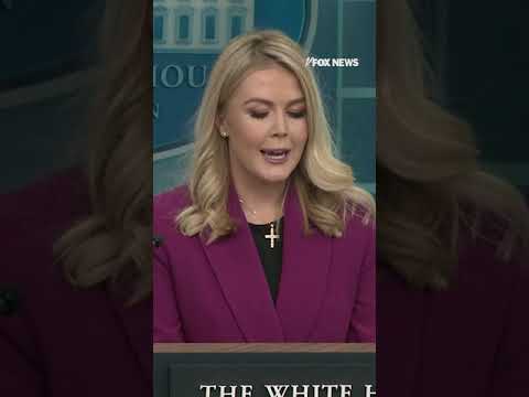 You are currently viewing White House announces NJ drones were authorized by FAA and “not the enemy”