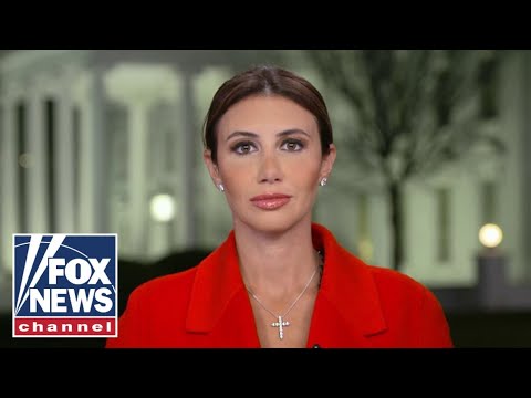 You are currently viewing Alina Habba: DOGE will cut the fat