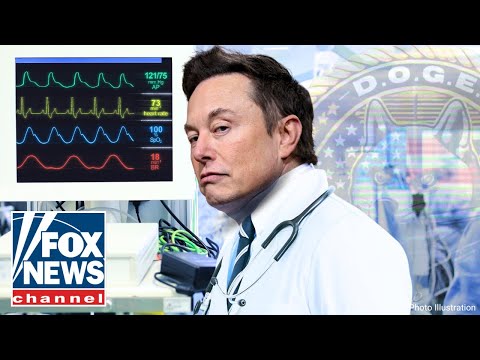 You are currently viewing ‘DO YOU HAVE A PULSE?’: Musk defends DOGE productivity email at Trump’s first full Cabinet meeting