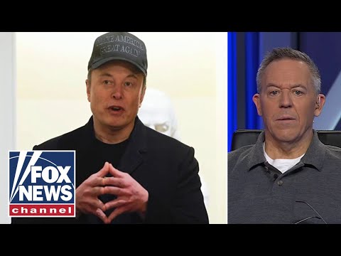 You are currently viewing Gutfeld blasts ‘latest unhinged Democrat media attack’ on DOGE