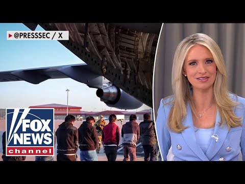 You are currently viewing White House fires back at liberal filmmaker over mass deportations