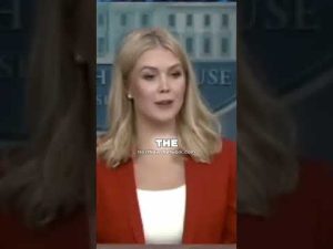 Read more about the article Trump is Firing Corrupt Generals