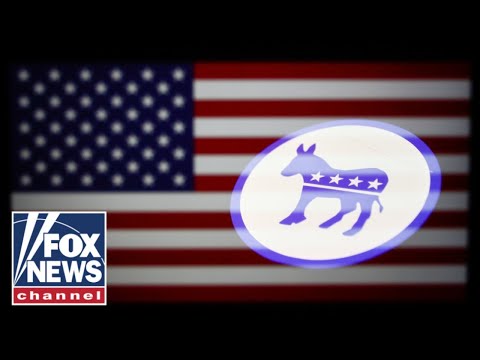 You are currently viewing Democrats’ sanity is on life support, Dana Loesch says