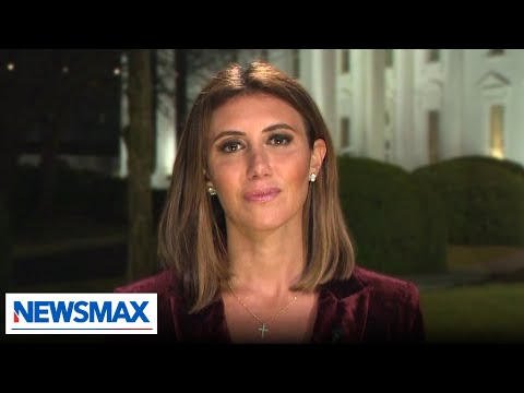 You are currently viewing Habba reacts to ‘disturbing’ liberal response on Trump eliminating government waste