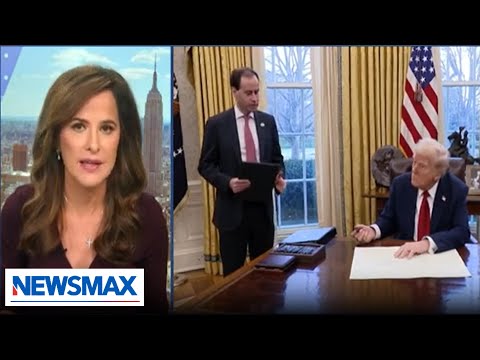 You are currently viewing ‘This Is What The People Voted For’ : Lidia Curanaj