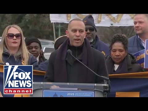 You are currently viewing Dems rally against Trump, Musk’s ‘unconscionable’ reforms: ‘Un-American’