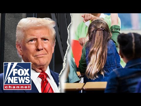 You are currently viewing NOT THE TEACHER’S PET: DOGEing of Education Department rattles establishment