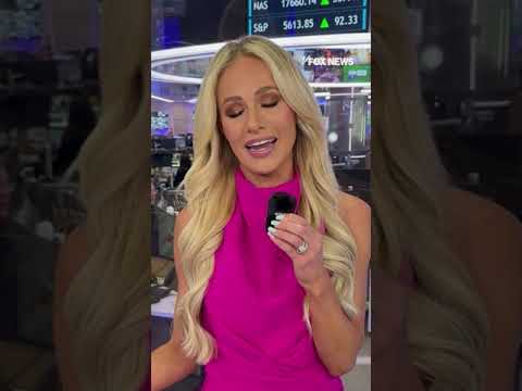 You are currently viewing Tomi Lahren shares her thoughts on protesters destroying Teslas