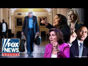 Read more about the article ‘PARTY GONE MAD’: Schumer folds and the Democratic Party explodes