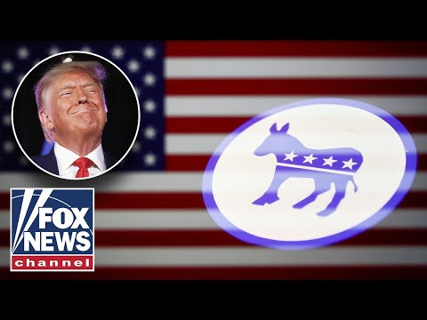 You are currently viewing Democrats are headed towards ‘cult-like identity,’ strategist warns