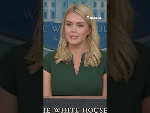 You are currently viewing White House press secretary on the cost of deporting gang members to El Salvador