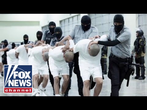 You are currently viewing Trump admin defends deporting alleged violent gang members