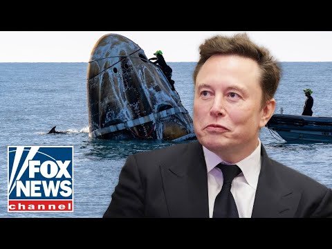 You are currently viewing ‘ELON TO THE RESCUE’: Musk’s move should be moment of pride