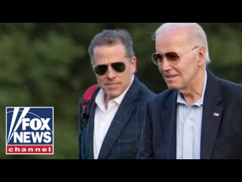 You are currently viewing ‘LIVING HELL’: Former Hunter Biden whistleblower describes IRS under Biden admin