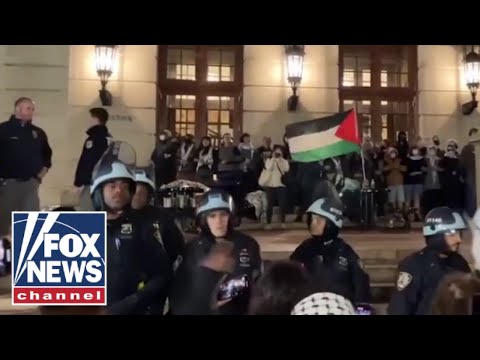 You are currently viewing ‘DOUBLE STANDARD’: New York Post columnist calls out anti-Israel ’cause hoppers’ at universities