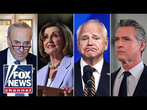 You are currently viewing Dems are fighting over the ‘soul’ of the party, says Dana Loesch