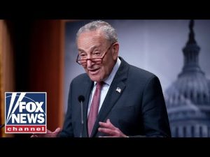 Read more about the article NOT GOING ANYWHERE: Sen. Schumer defies calls from Dems to step down
