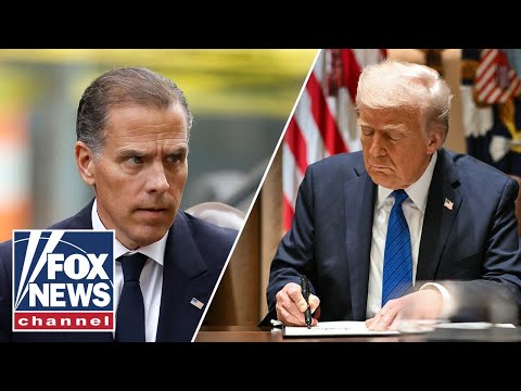 You are currently viewing Trump signs pardon for ex-Hunter Biden business partner
