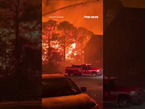 You are currently viewing Firefighters battle raging South Carolina wildfires