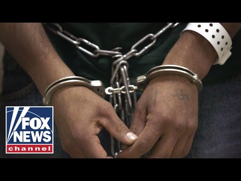 You are currently viewing Trump deportations of migrant criminals will have a ‘deterrent effect’: Border Patrol Council chief