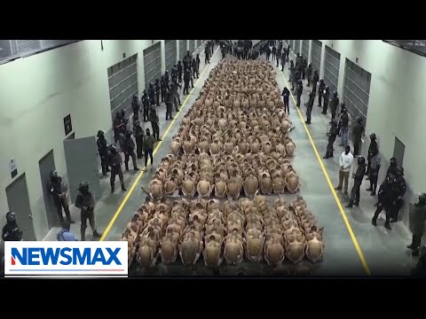 You are currently viewing Former FBI agent, Sheriff praise MS-13 leader capture by Trump | American Agenda