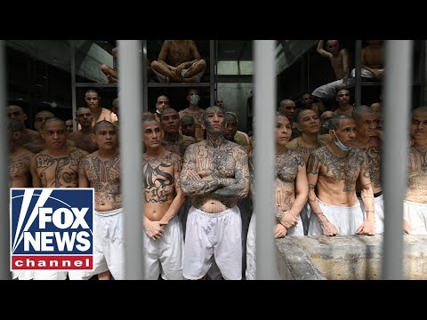 You are currently viewing Capture of MS-13 Gang Leader is ‘a win’ for the American People