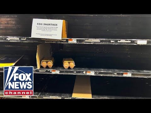 You are currently viewing USDA predicts spike in egg prices amid bird flu, egg shortages