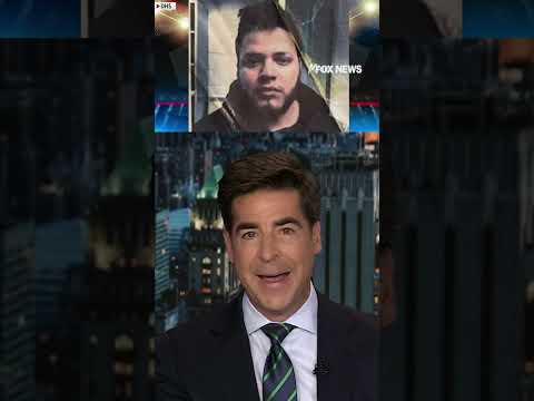 You are currently viewing Jesse: The left wants to send “gangbangers” back to the U.S. #shorts #foxnews