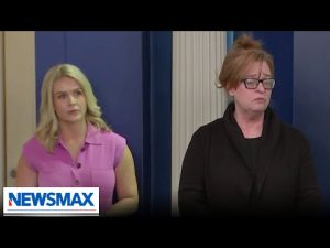 Read more about the article ‘Tell the truth’: Patricia Morin, Leavitt excoriate media over lack of migrant crime coverage