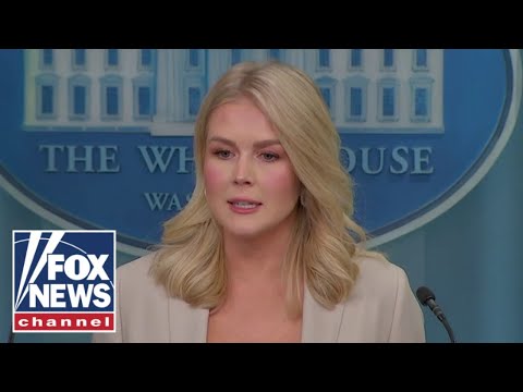 You are currently viewing Karoline Leavitt: This was an insane headline