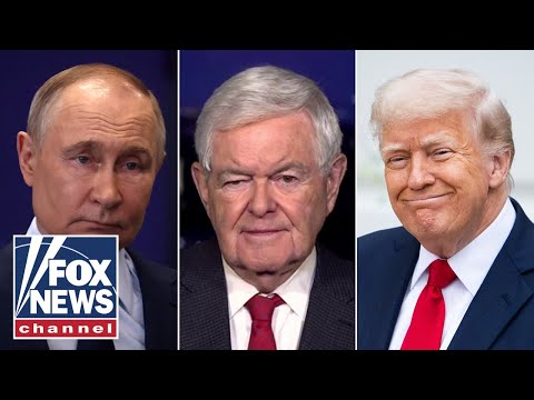 You are currently viewing Newt Gingrich: Putin has totally misunderstood Trump
