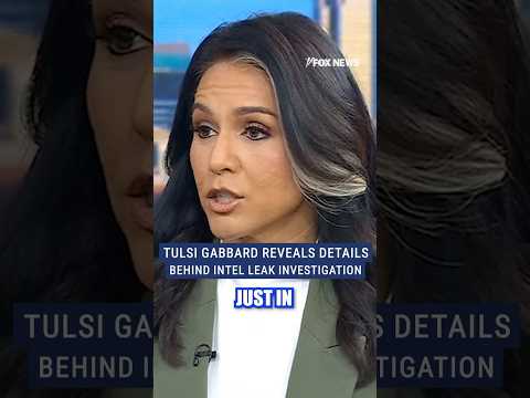 You are currently viewing Tulsi Gabbard targets intel officials over leak allegations #foxnews #politics #trump