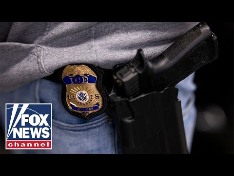 You are currently viewing ‘LIBERAL ACTIVISTS’: GOP lawmaker rails against judge’s alleged ‘textbook case of obstruction’