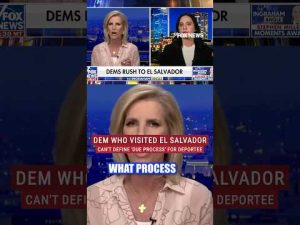 Read more about the article Laura presses Dem rep on ‘due process’ concern for Kilmar Abrego Garcia #shorts #immigration #news