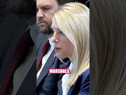 You are currently viewing Pam Bondi: Over ‘200 civil lawsuits’ against Trump admin #foxnews #trump #shorts #bondi