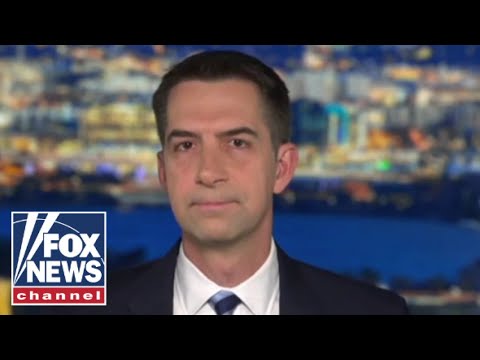 You are currently viewing Sen. Cotton: China has waged an economic world war