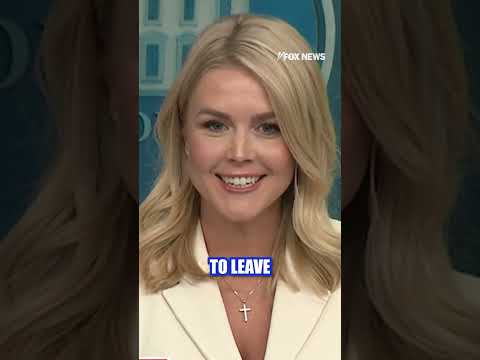 You are currently viewing Leavitt teases ‘incredible’ DOGE discovery #foxnews #shorts #trump #doge #politics