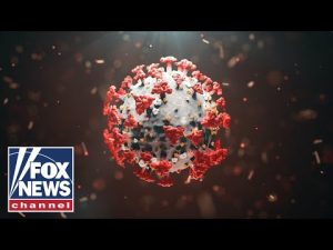 Read more about the article Bombshell report rewrites COVID outbreak timeline