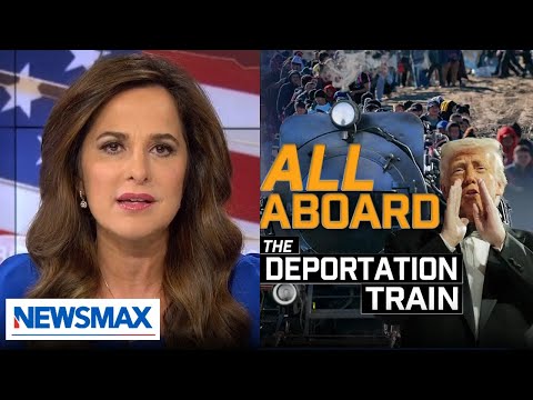 You are currently viewing Lidia Curanaj: ‘Get illegal immigrants off of America’s payroll’