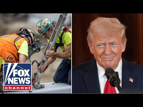 You are currently viewing Blue-collar worker? Why you could see a ‘boom’ during Trump’s term