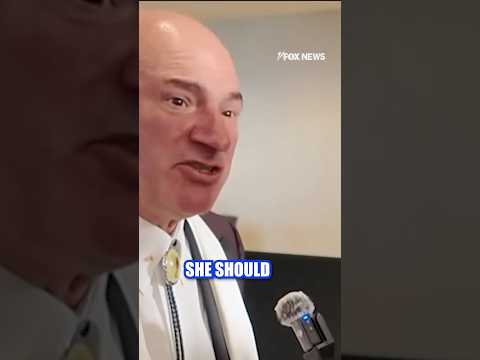 You are currently viewing Mr. Wonderful says AOC should start a T-shirt company #shorts #foxnews #news #politics #us