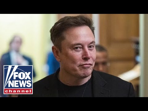 You are currently viewing DOGE team reveals shocking details of peace agency visit: ‘They had loaded guns’