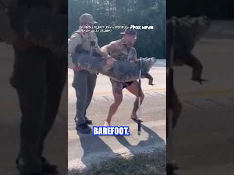 You are currently viewing Barefoot gator wrestler breaks down viral video #foxnews #shorts #news