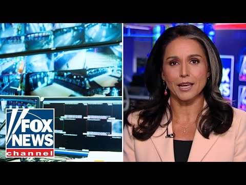 You are currently viewing Tulsi Gabbard rips surveillance on her: ‘POLITICALLY MOTIVATED’