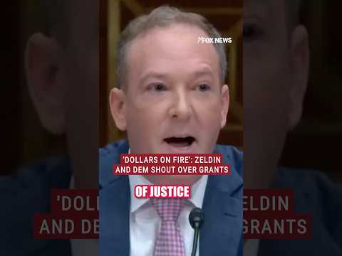 You are currently viewing Trump official accuses Dem of wanting EPA to light ‘taxpayer dollars on fire’ #shorts #politics