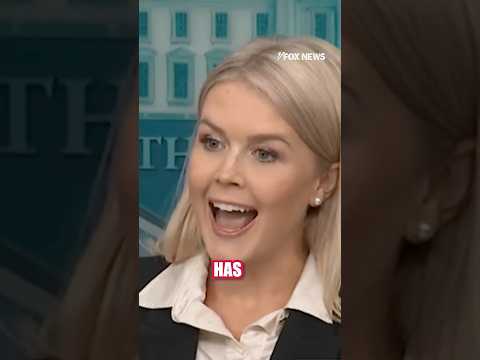 You are currently viewing Leavitt shuts down NBC reporter over ‘ridiculous’ question #foxnews #shorts #politics #trump #news